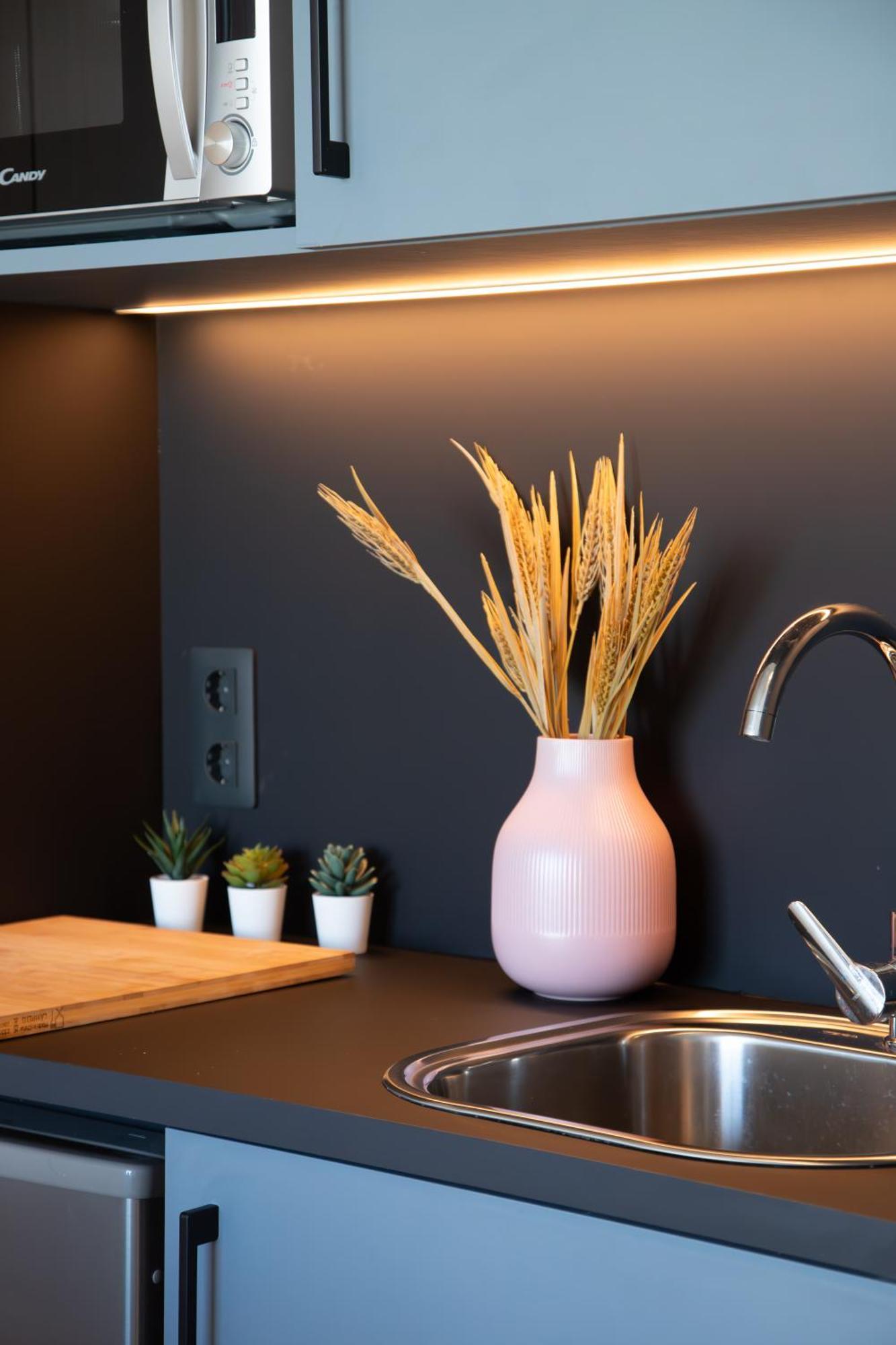 Apartamento Atenea Living *
